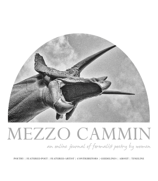 Mezzo Cammin cover